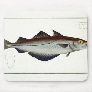 Pollack (Pollachius pollachius) plate LXVIII from Mouse Pad