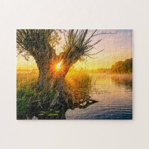 Pollard willow by misty river sunrise jigsaw puzzle