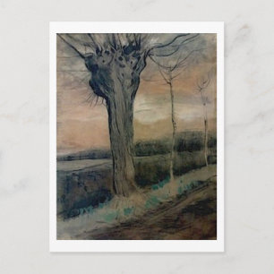 Pollard Willow Van Gogh Fine Art Painting Postcard