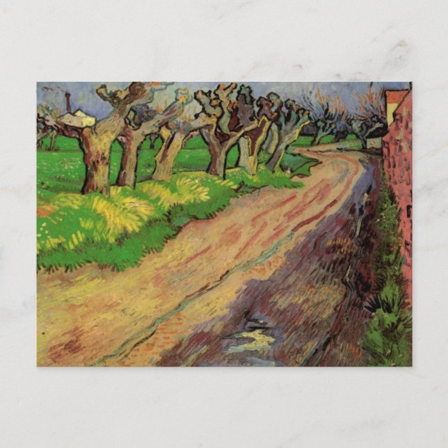 Pollard Willows by Vincent van Gogh Postcard (Front)