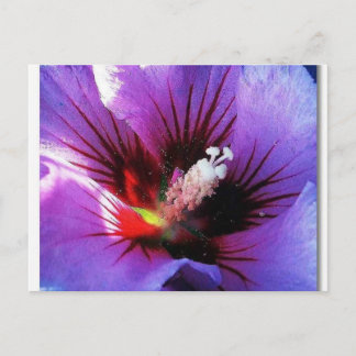 pollen revisited postcard