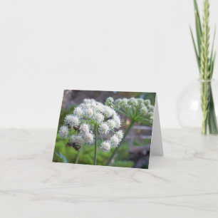 Pollinators on White Angelica Flowers Card