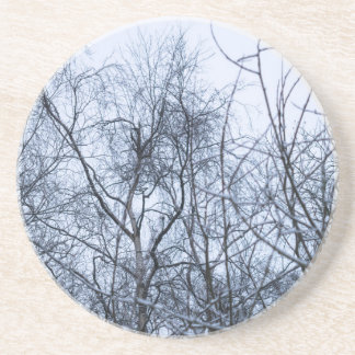 Pollock's Branches Coaster