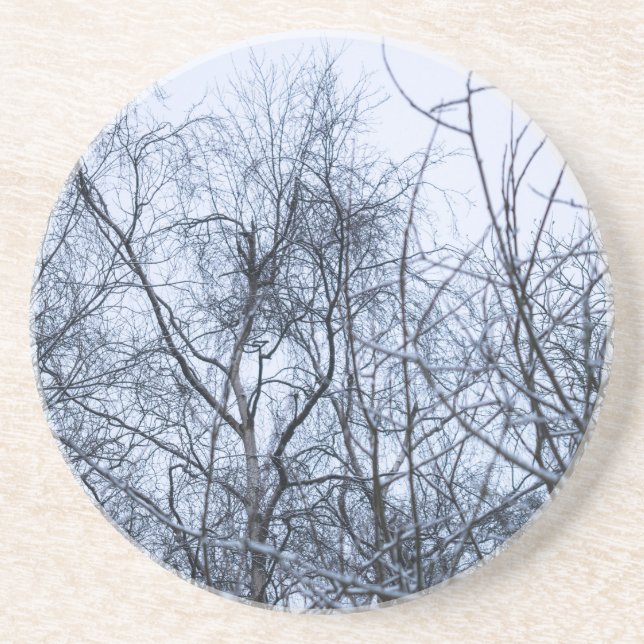 Pollock's Branches Coaster (Front)