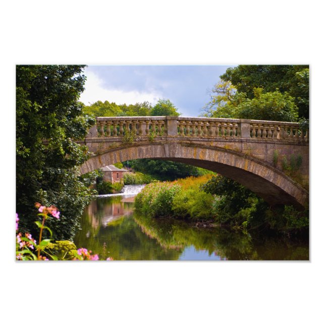 Pollok Park, Glasgow Photo print (Front)