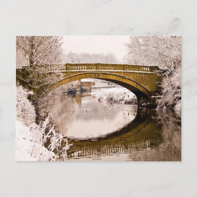 Pollok Park, Glasgow Postcard (Front)