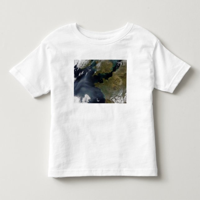 Pollution off France Toddler T-shirt (Front)