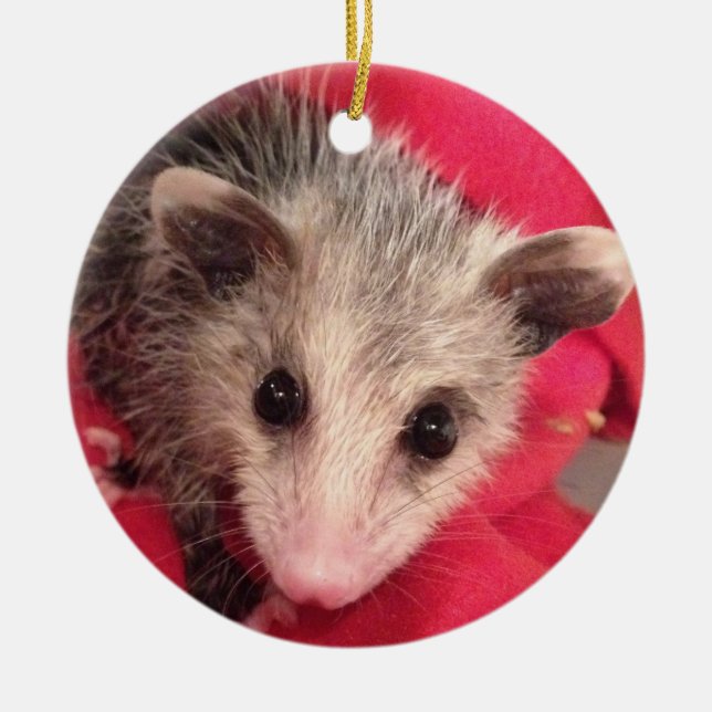 Polly Cute Baby  Possum Ceramic Ornament (Front)