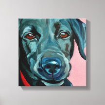 Polly the Black Labrador Retriever Dog Portrait