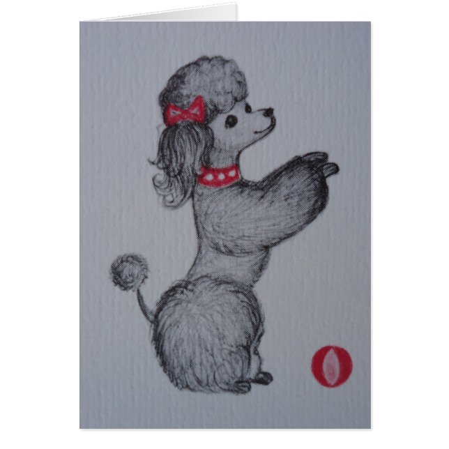 Polly the Poodle (Front)
