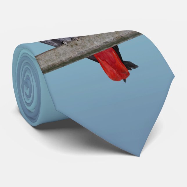 Polly Tie Double Sided Colour (Sky Blue Mix) (Rolled)