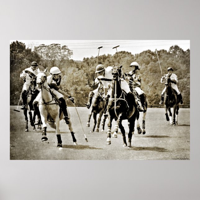 Polo Horses Galloping Poster (Front)