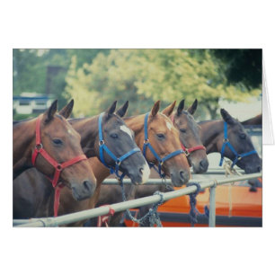 Polo Pony String