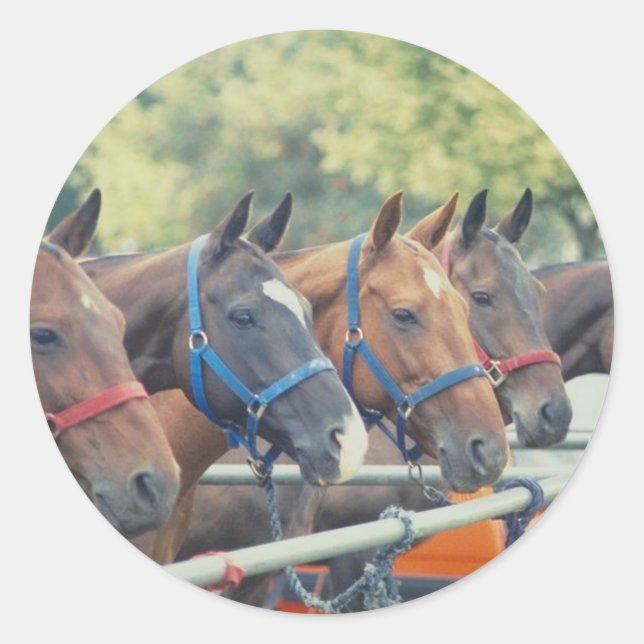 Polo Pony String Classic Round Sticker (Front)