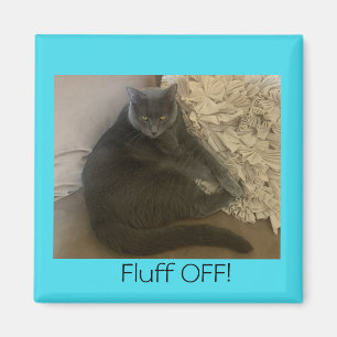Polo the cat Fluff Off magnet