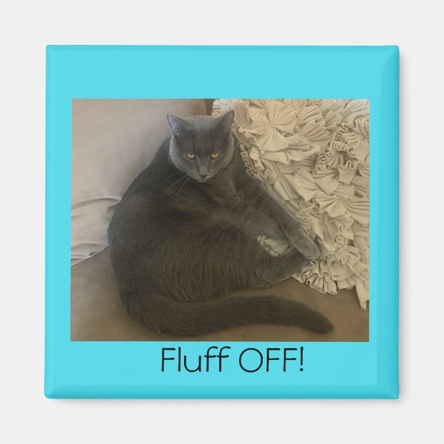 Polo the cat Fluff Off magnet (Front)