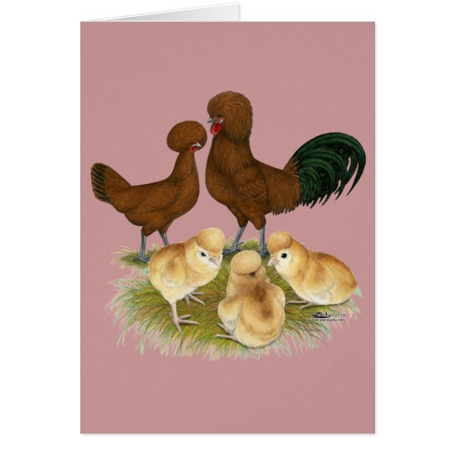 Polonais : Famille Rouge (Devant)