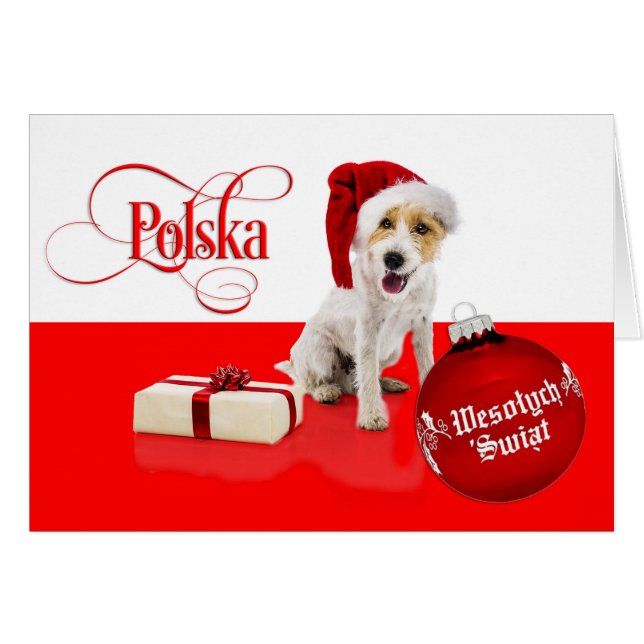 Polonais/Polski - Joyeux Noël/Wesołych Świąt (Devant horizontal)