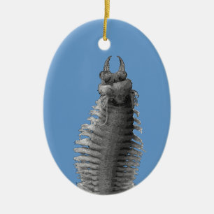 Polychaete Worm Christmas Ornament
