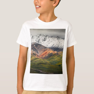 Polychrome mountain, Denali NP, Alaska T-Shirt