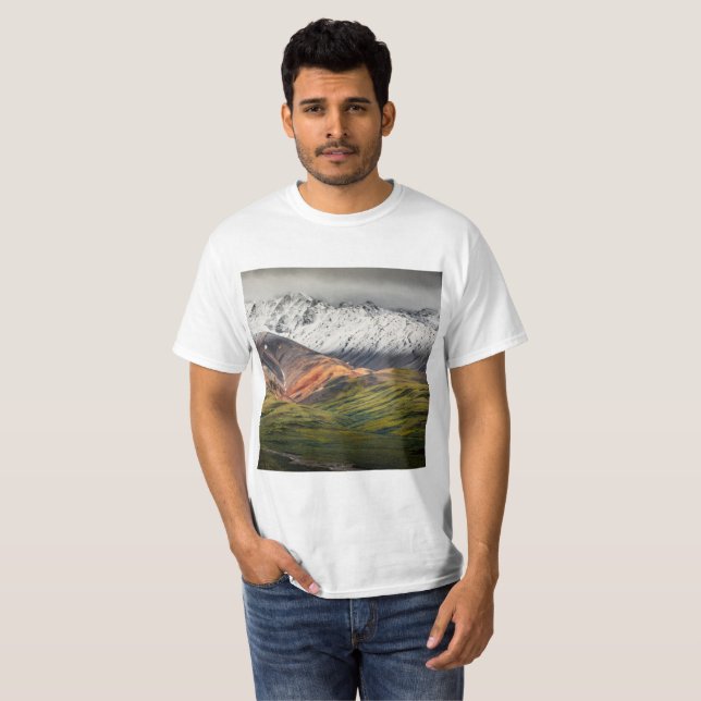 Polychrome mountain, Denali NP, Alaska T-Shirt (Front Full)