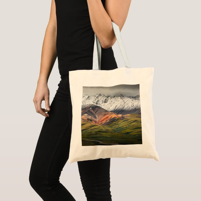 Polychrome mountain, Denali NP, Alaska Tote Bag (Front (Product))