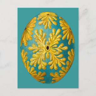 Polyclinum constellatum, Ernst Haeckel Vintage Postcard