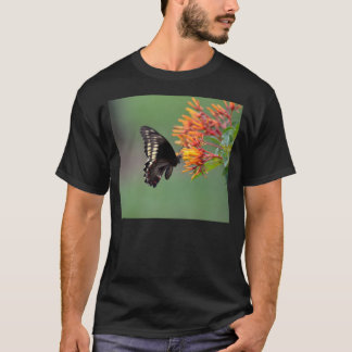 Polydamus Swallowtail Butterfly T-Shirt