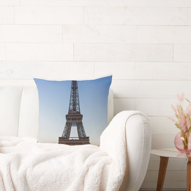 Polyester  throw pillow (Couch)