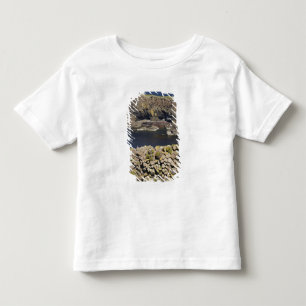 Polygonal basalt, Staffa, off Isle of Mull, Toddler T-shirt