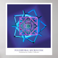 Polyhedral Microcosm