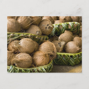 Polynesia, Kingdom of Tonga. Display of coconuts Postcard