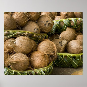 Polynesia, Kingdom of Tonga. Display of coconuts Poster