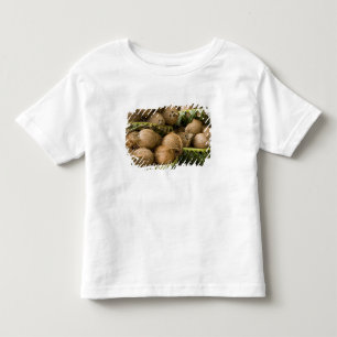 Polynesia, Kingdom of Tonga. Display of coconuts Toddler T-shirt