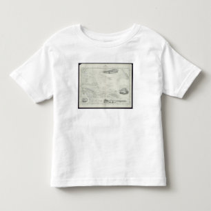 Polynesia or Islands in the Pacific Ocean, from a Toddler T-shirt