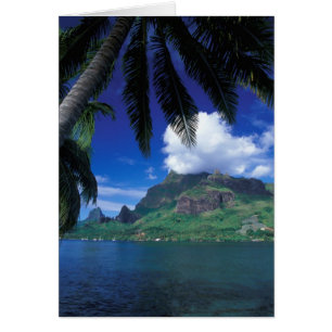 Polynésie française, Moorea. Cooks Bay.Vert