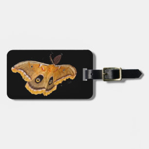 Polyphemus Moth Luggage Tag