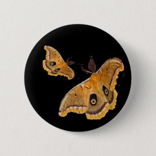 Polyphemus Moths 2 Inch Round Button