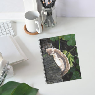 Polypore Fungus on Tree Stump Notebook