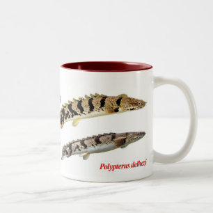 Polypterus delhezi mug