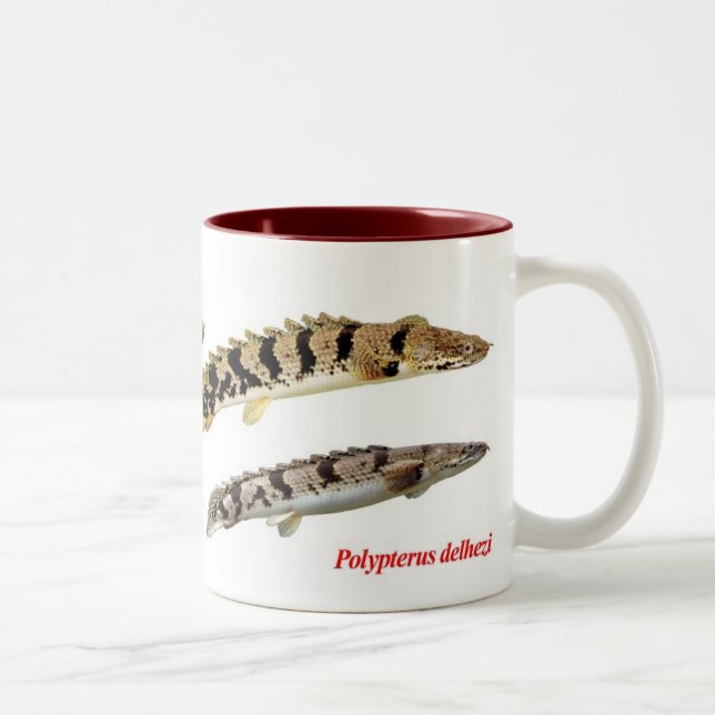 Polypterus delhezi mug (Right)