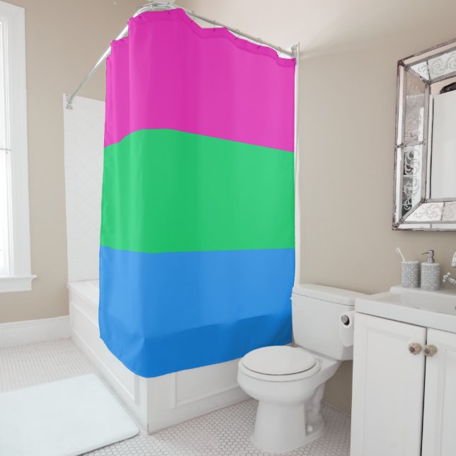 Polysexual Flag (In Situ)