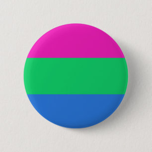 Polysexual Pride Flag 2 Inch Round Button