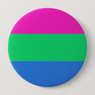 Polysexual Pride Flag 4 Inch Round Button