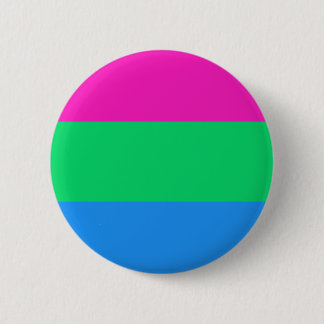 Polysexual Pride Flag LGBT Pride 2 Inch Round Button