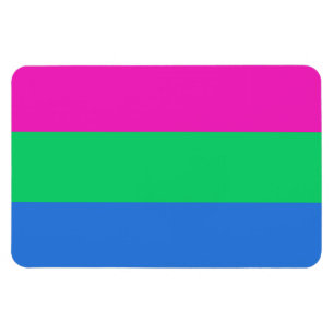Polysexual Pride Flag Magnet