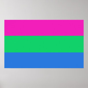Polysexual Pride Flag Poster