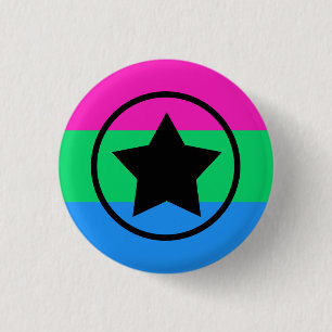 Polysexuality Flag with a Star in Circle 1 Inch Round Button
