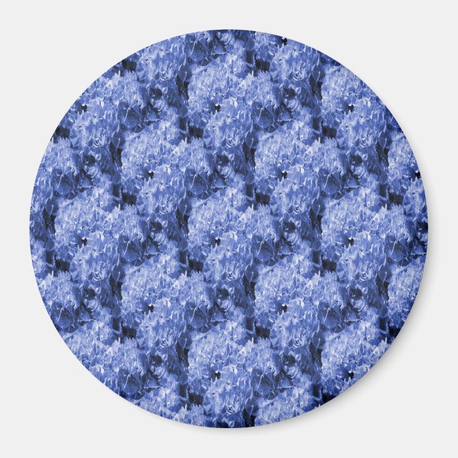 Pom-Pom's... Magnet (Front)