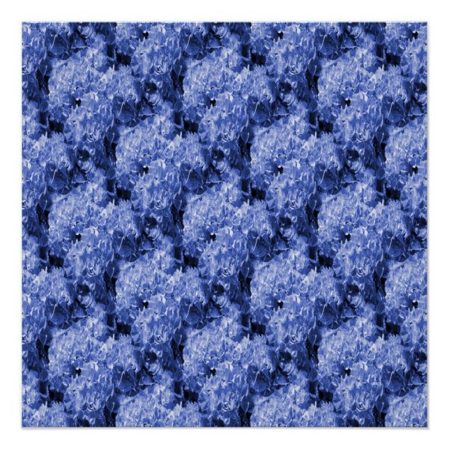 Pom-Pom's... Poster (Front)